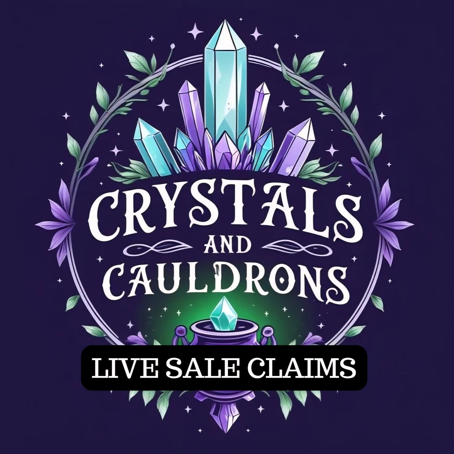 TikTok Live Sale Payment Link