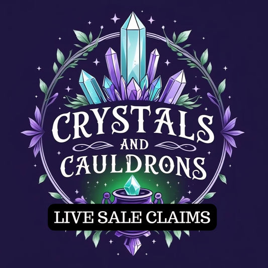 TikTok Live Sale Payment Link