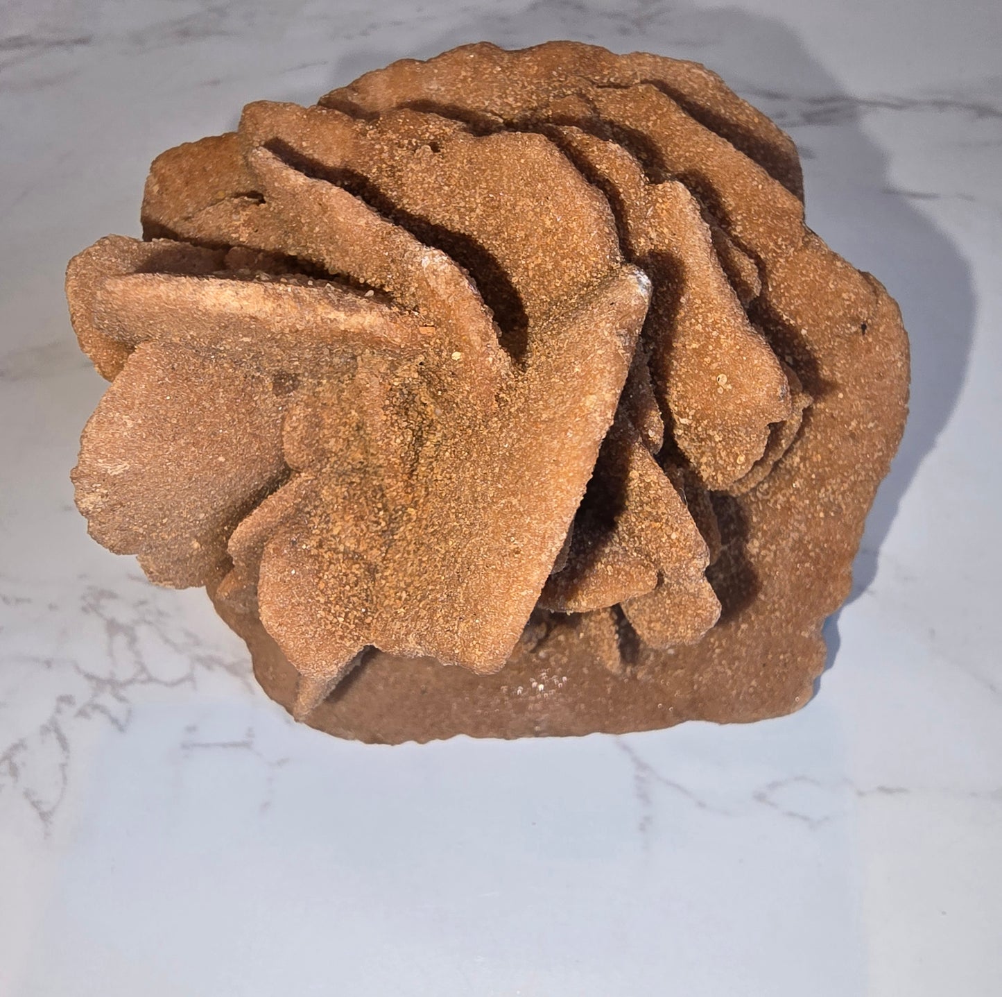 Desert Rose