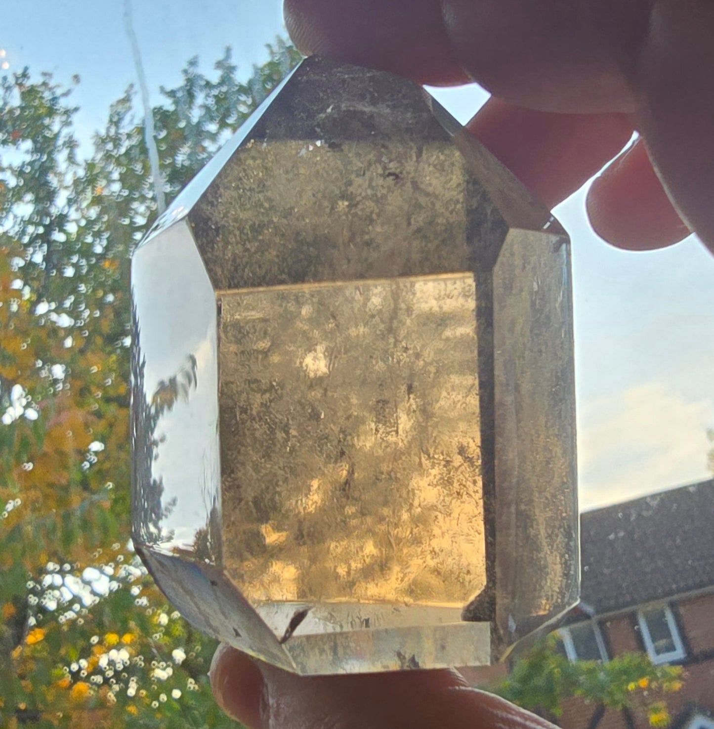 Smoky Quartz Freeform/Point