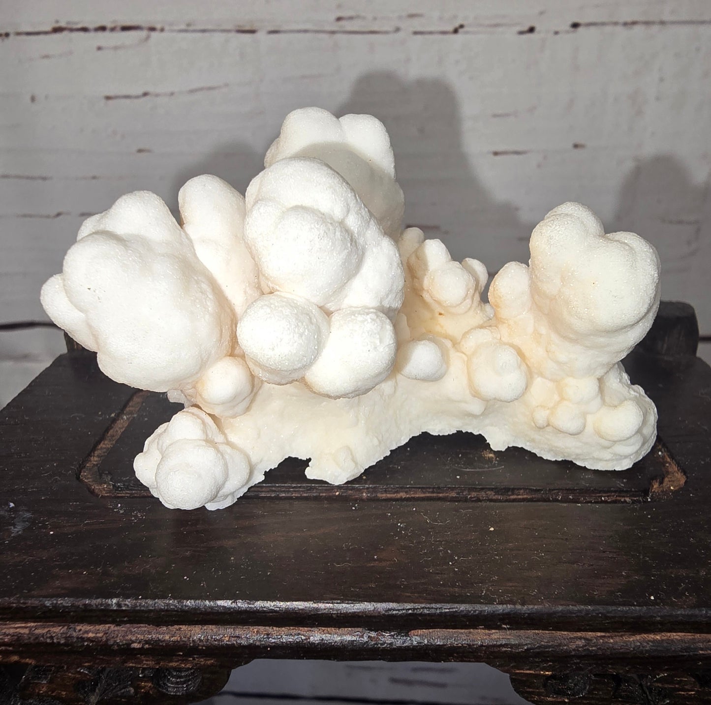 Cave Calcite and Aragonite "Popcorn"