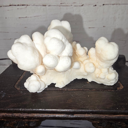 Cave Calcite and Aragonite "Popcorn"