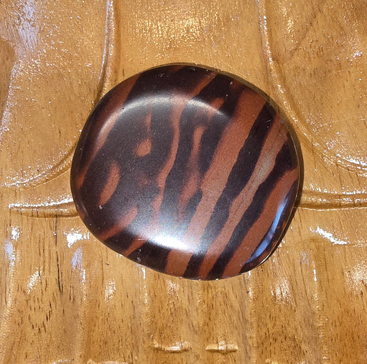 Zebra Stone Palm Stone