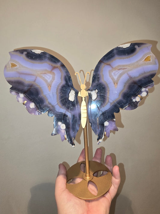 Blue Flower Agate XL Statement Butterfly Wings on Stand