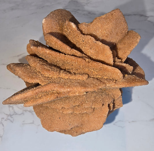 Desert Rose